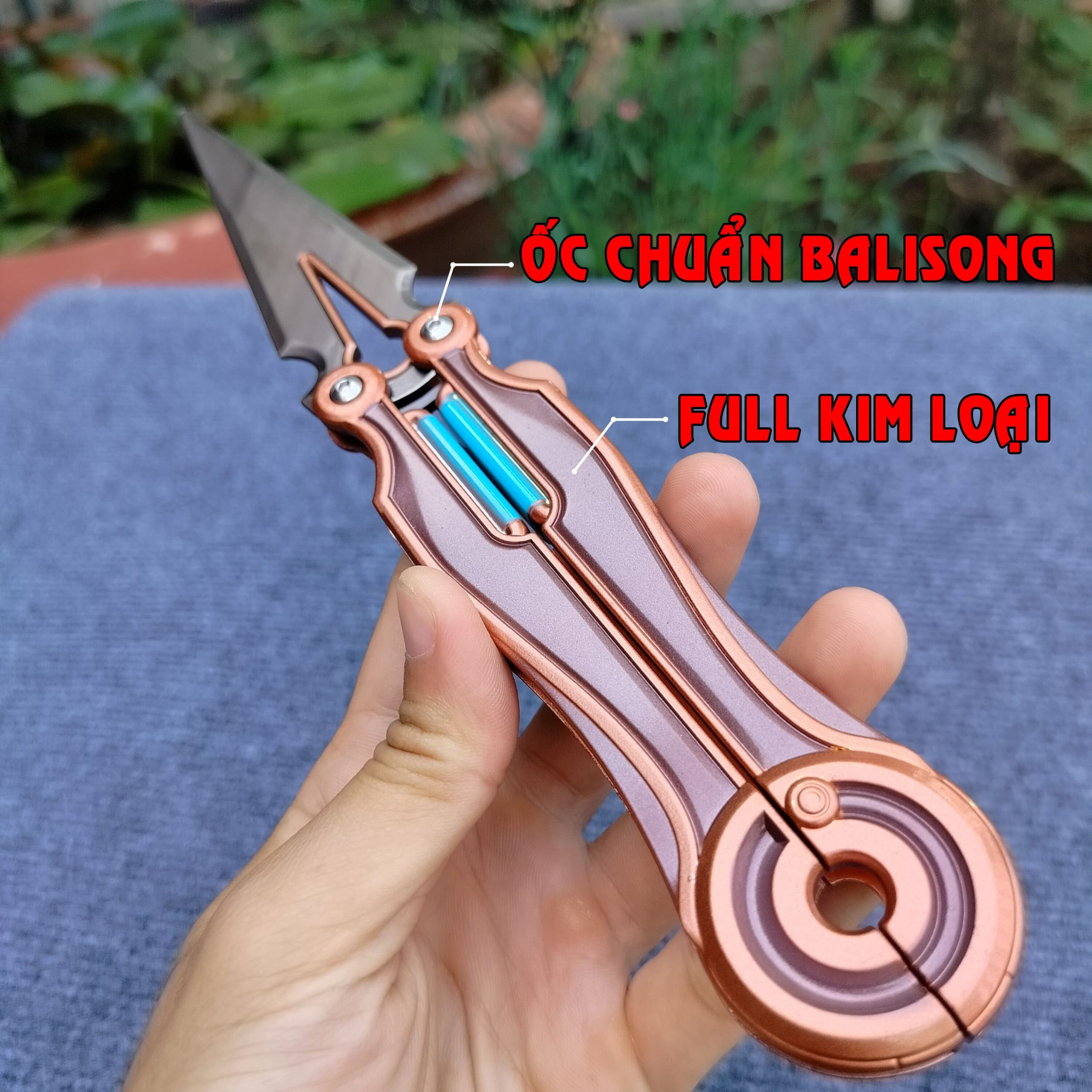 IMG20240316072910-min IMG20240316072910-min