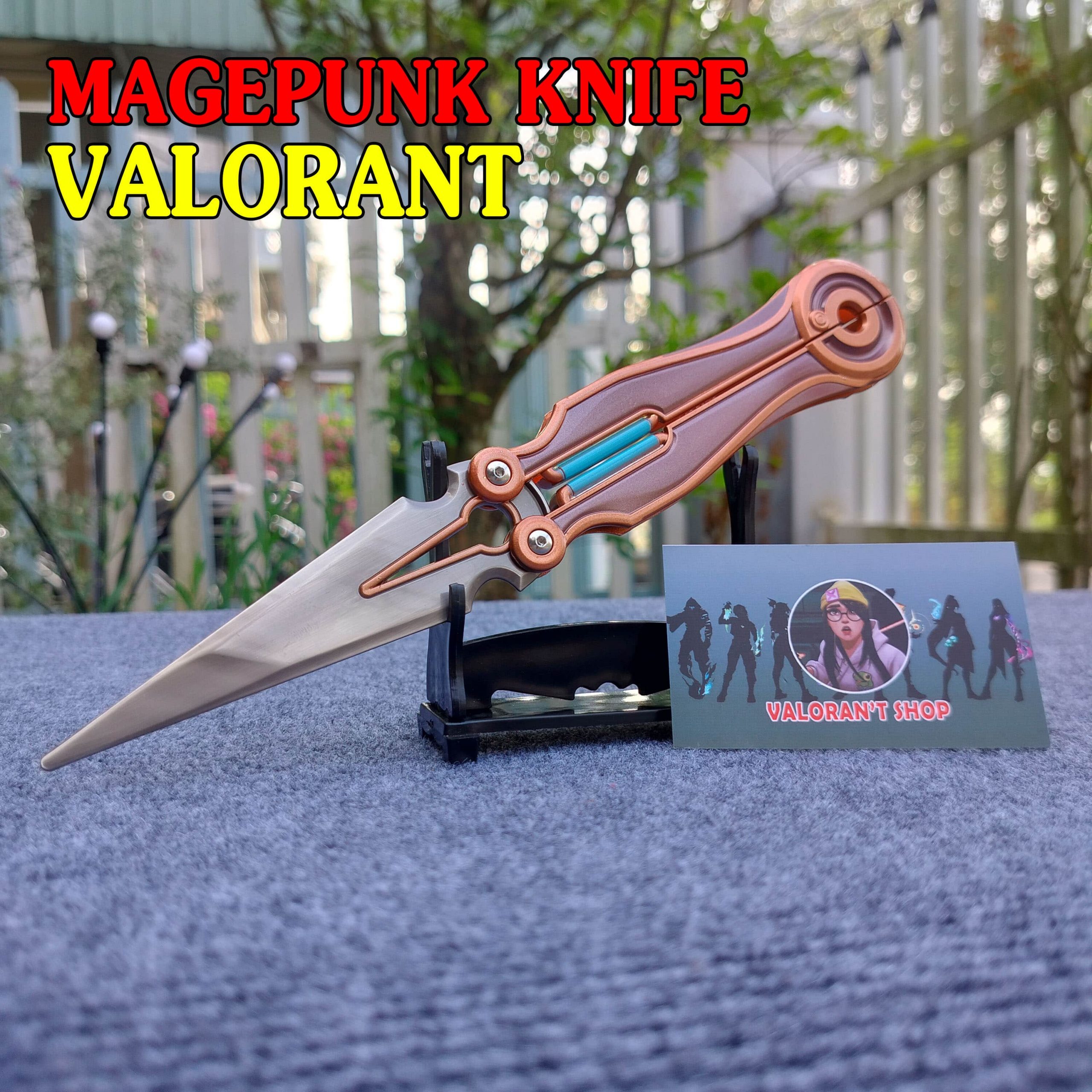 IMG20240316073056-min IMG20240316073056-min